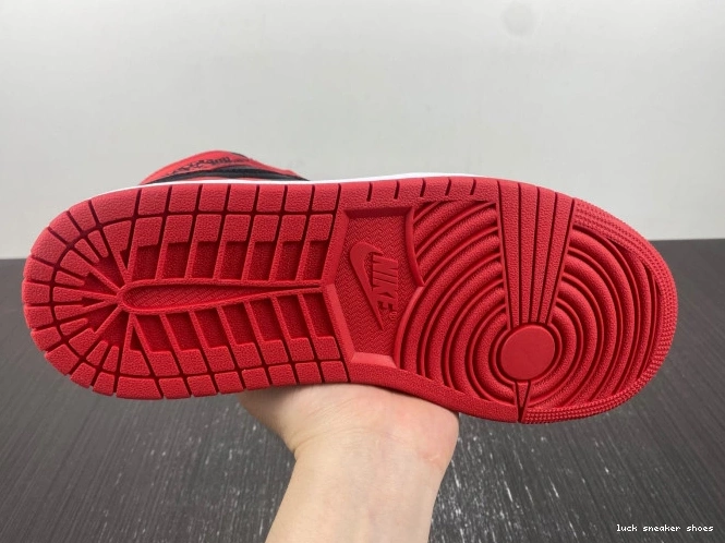 Rep LUCY Jordan High OG 1 Air FD4810-061 Bred Satin WMNS 0805